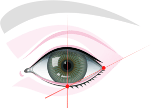 Dit is een tekening van symmetrie weergegeven in een oog voor het tekenen van een eyeliner en permanente make-up eyeliner